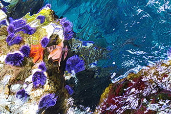 Photo of the ocean