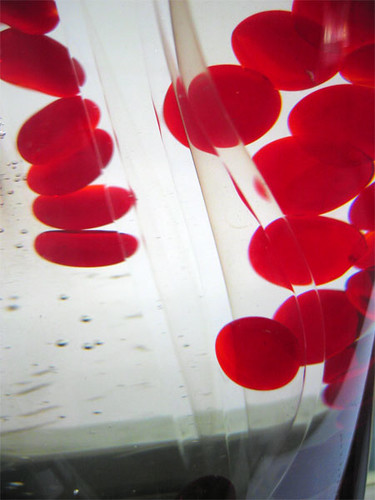 Red Blood Cells