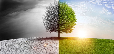 Illustration of the effects of climate change, showing grass and then barren ground